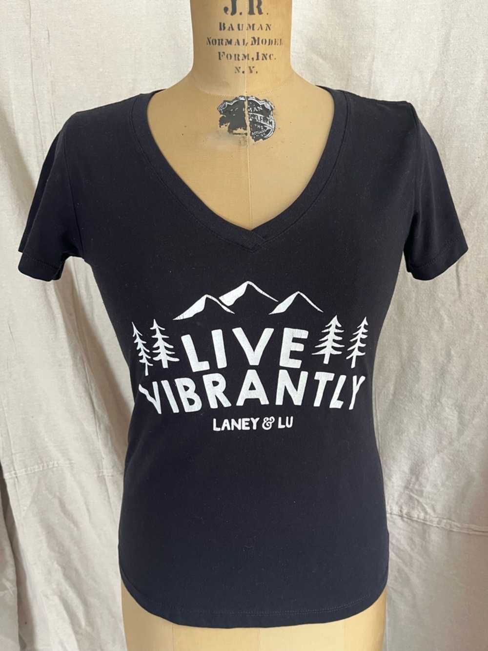 2/$20 Ideal T by Next Level Women’s Laney & Lu V-Neck Graphic T-Shirt